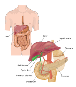 Fig2